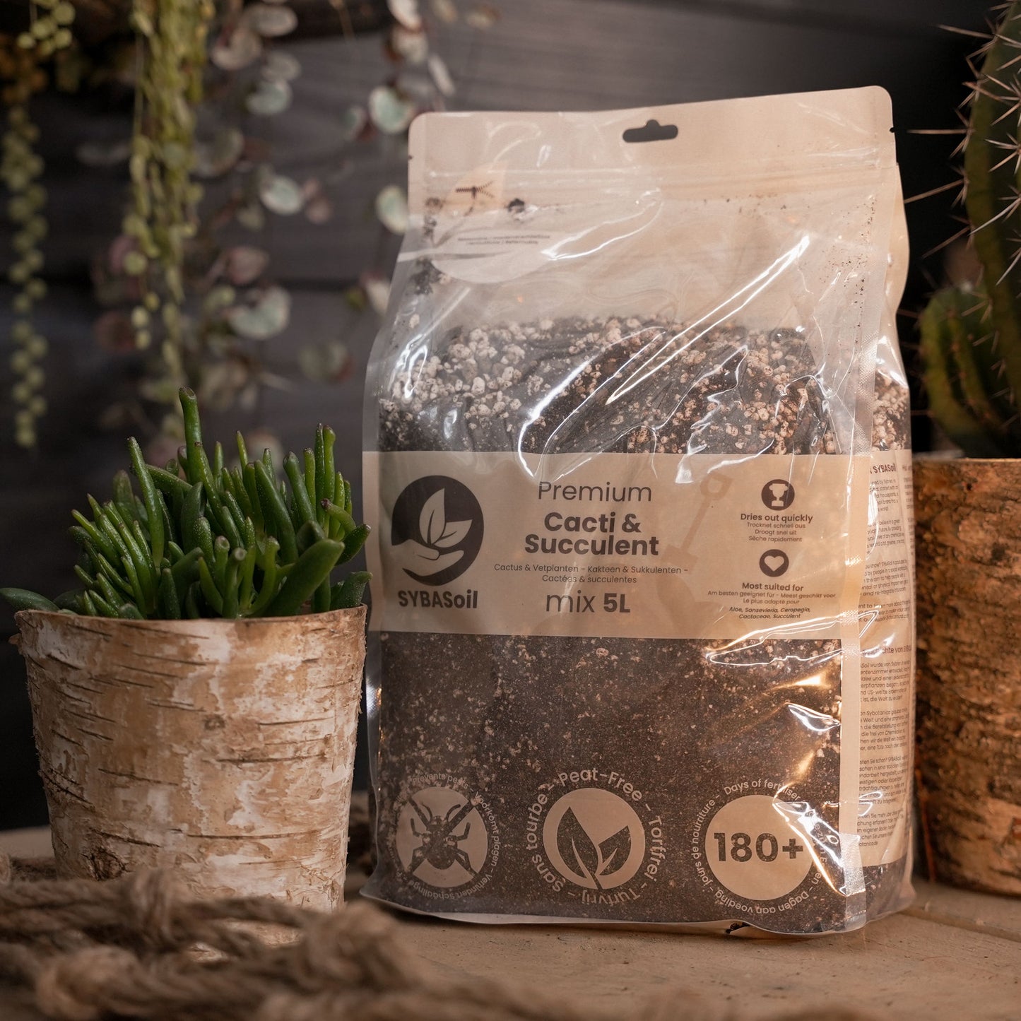 Cactus & Vetplanten potgrond