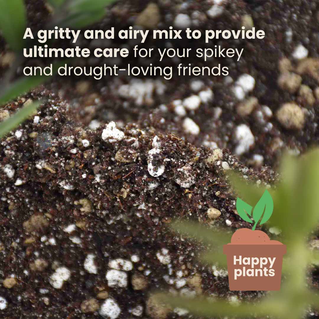 Cactus & Vetplanten potgrond