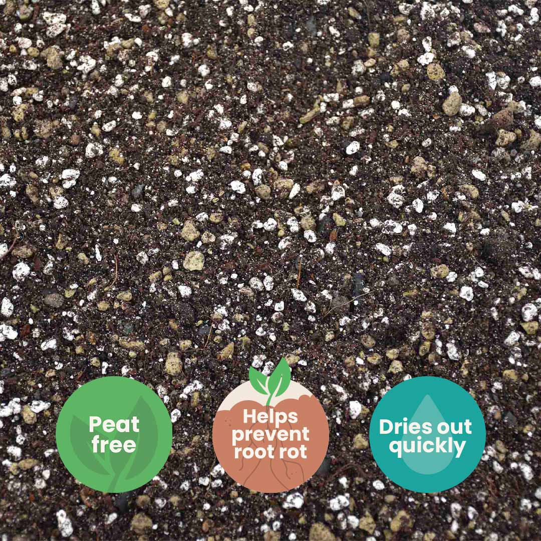 Cactus & Vetplanten potgrond