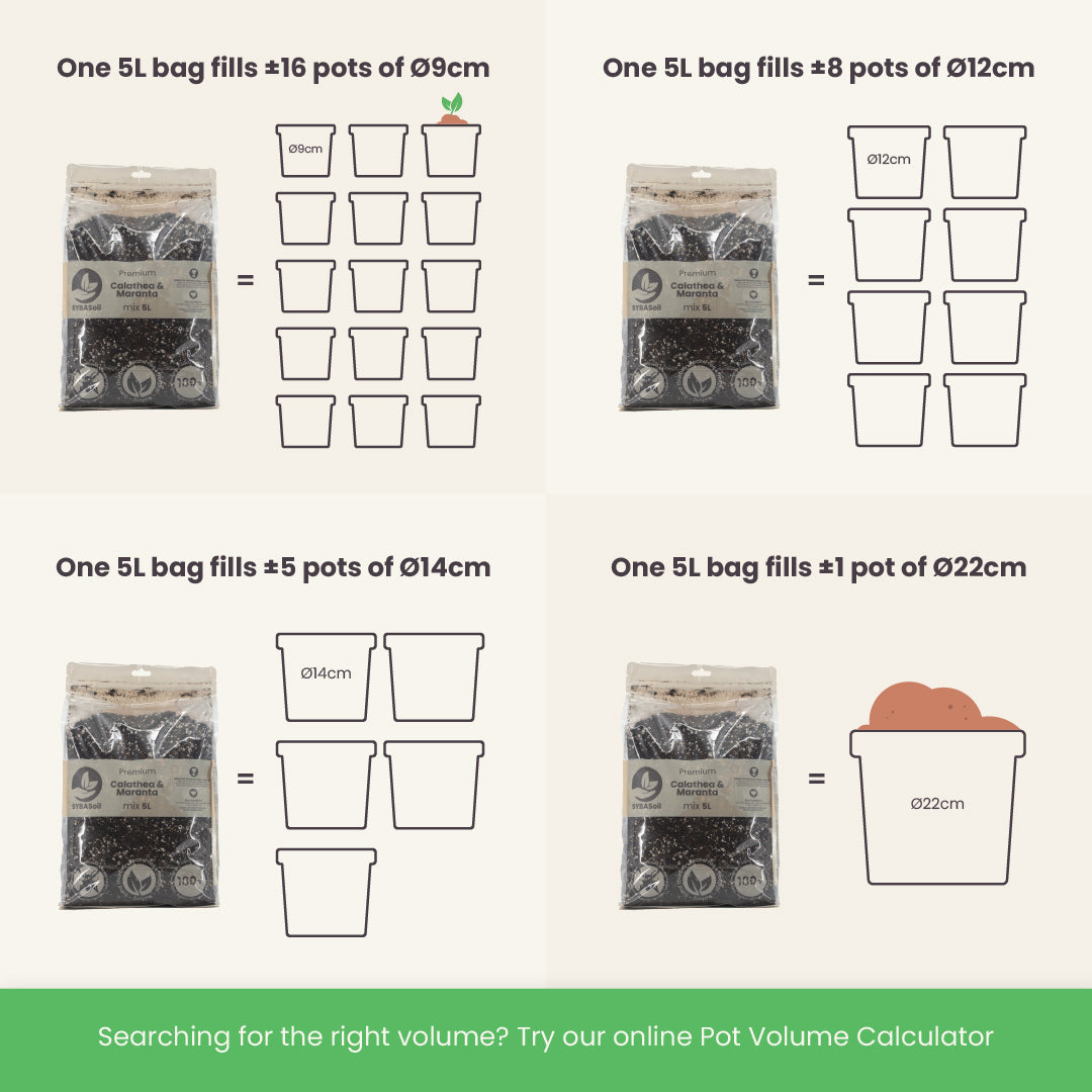 Calathea & Maranta potgrond