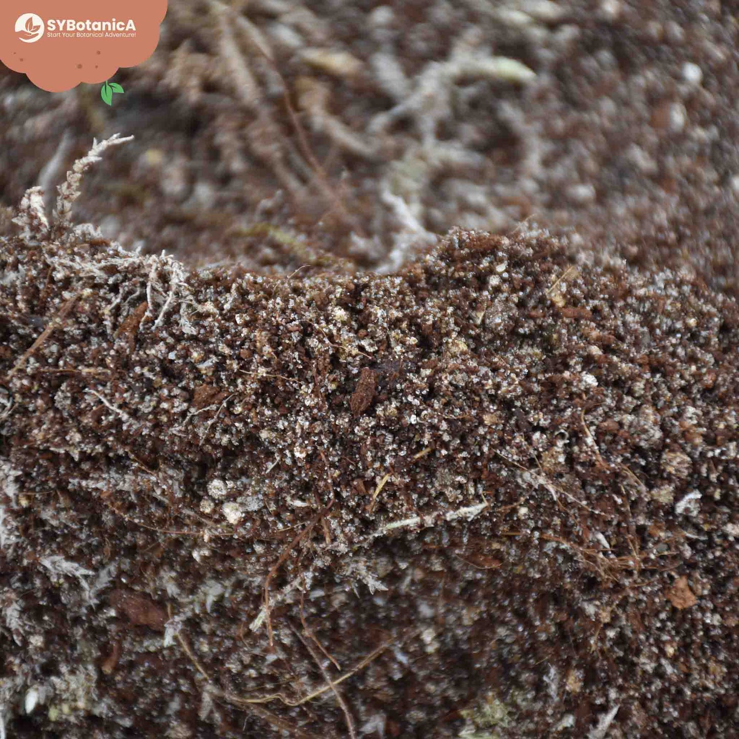 Vleesetende planten potgrond