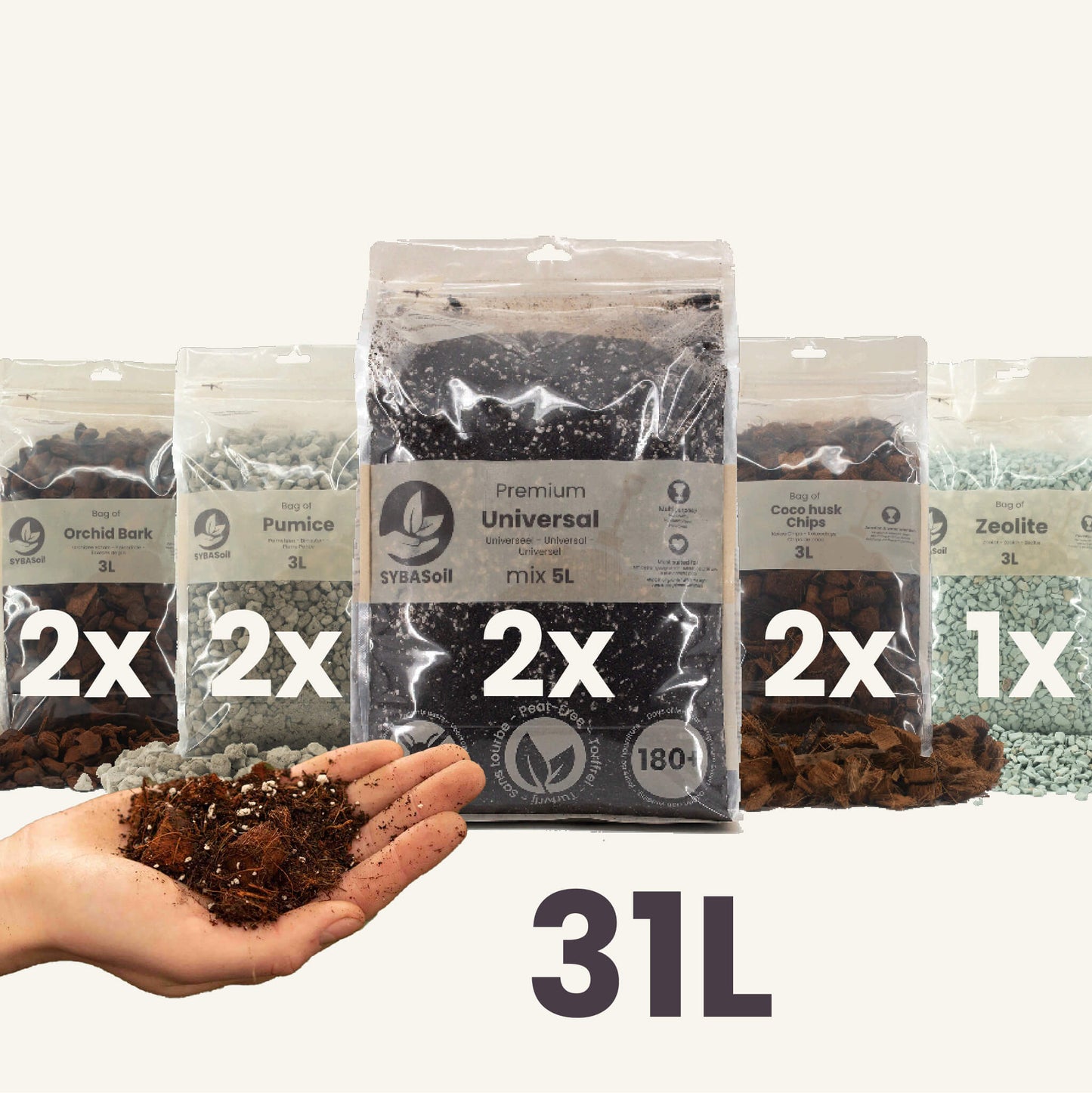 DIY Aroid Mix Bundel