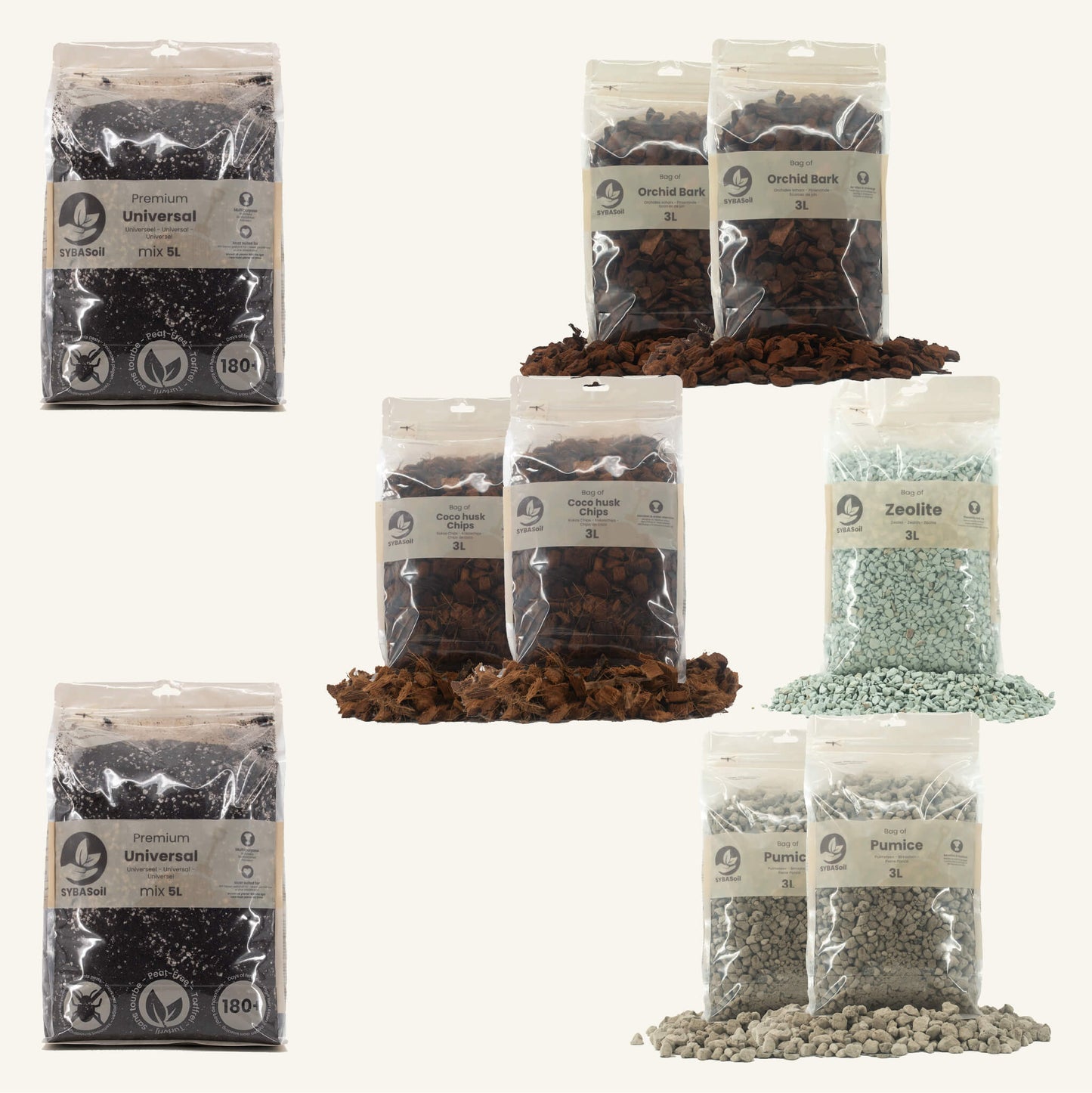 DIY Aroid Mix Bundel