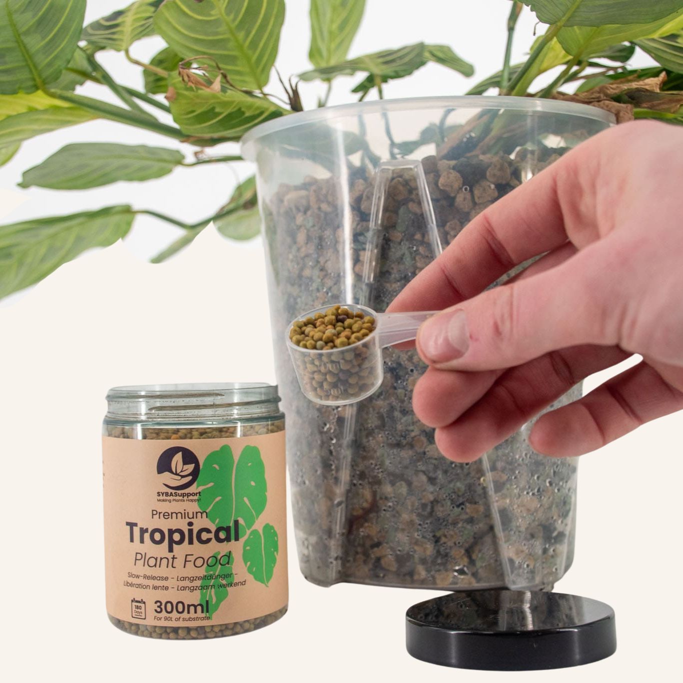 Cactus plantenvoeding langzaam werkend