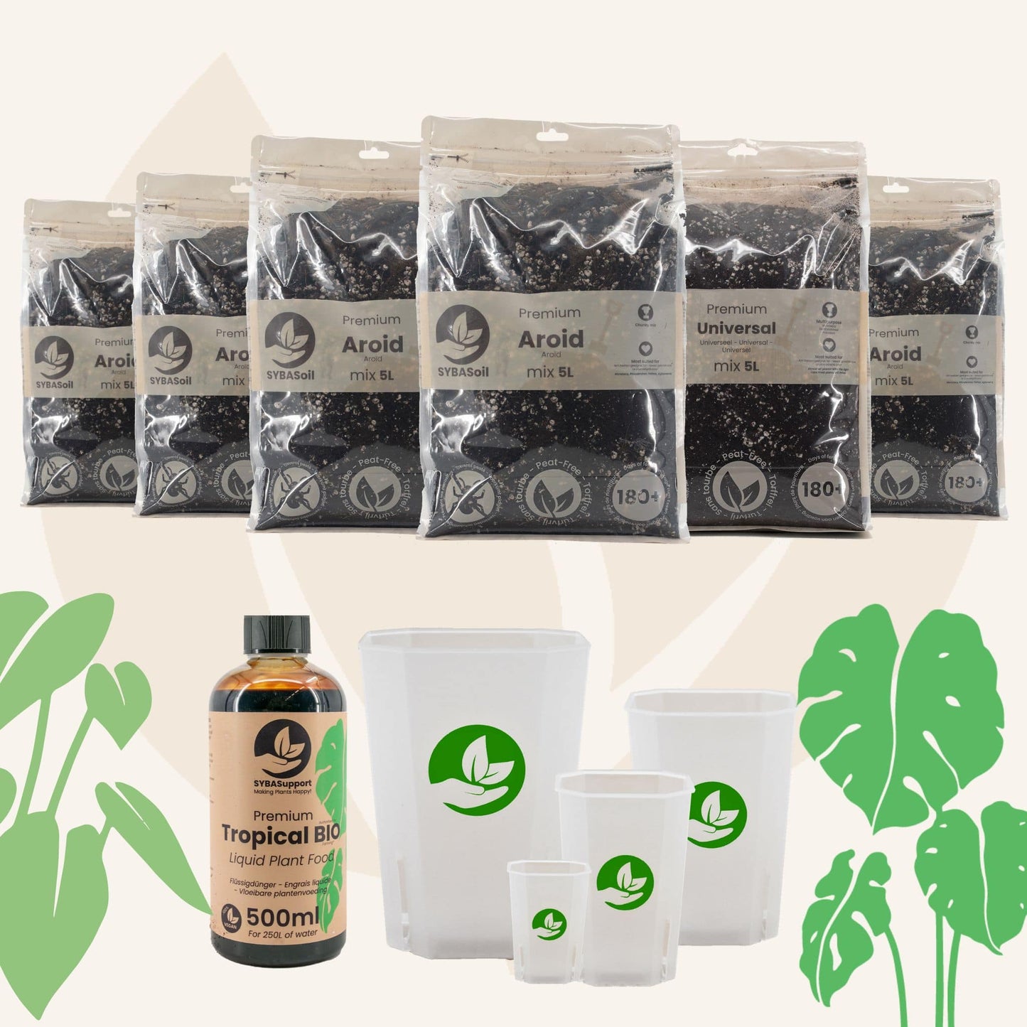 Monstera & Philodendron Welkomstbundel