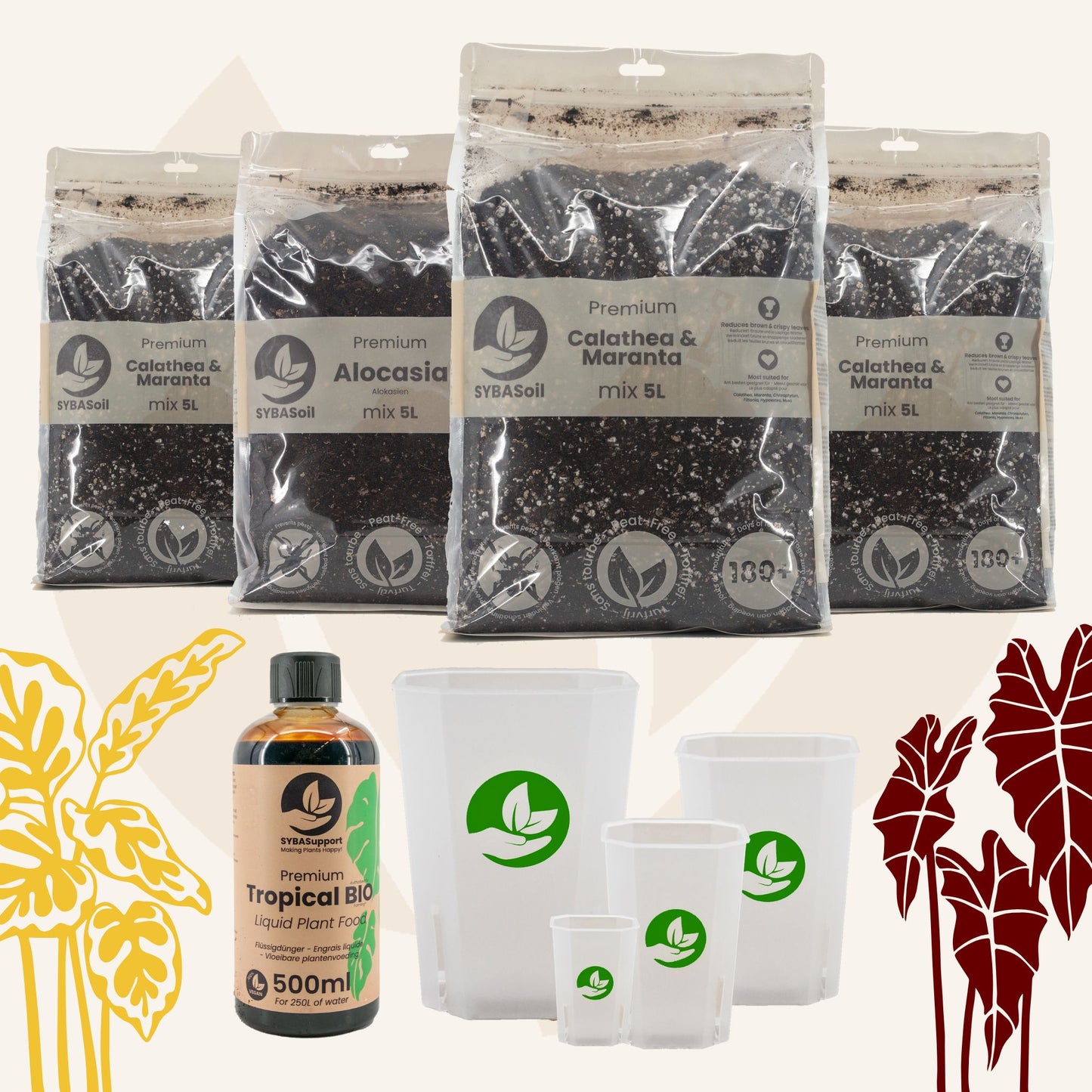 Tropische Planten Welkomstbundel