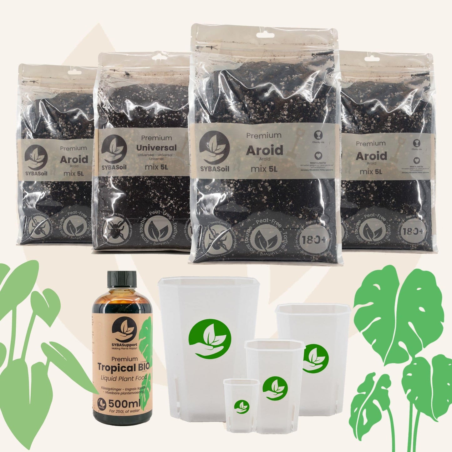 Monstera & Philodendron Welkomstbundel