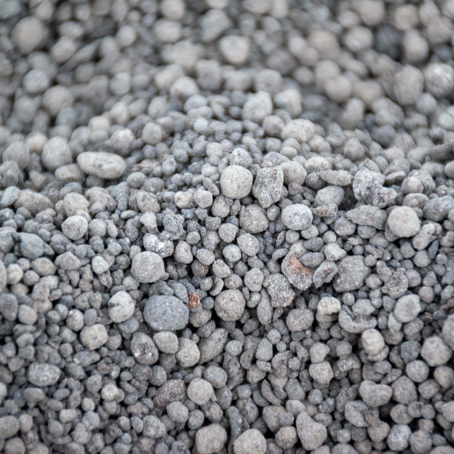 Orchidee plantenvoeding langzaam werkend