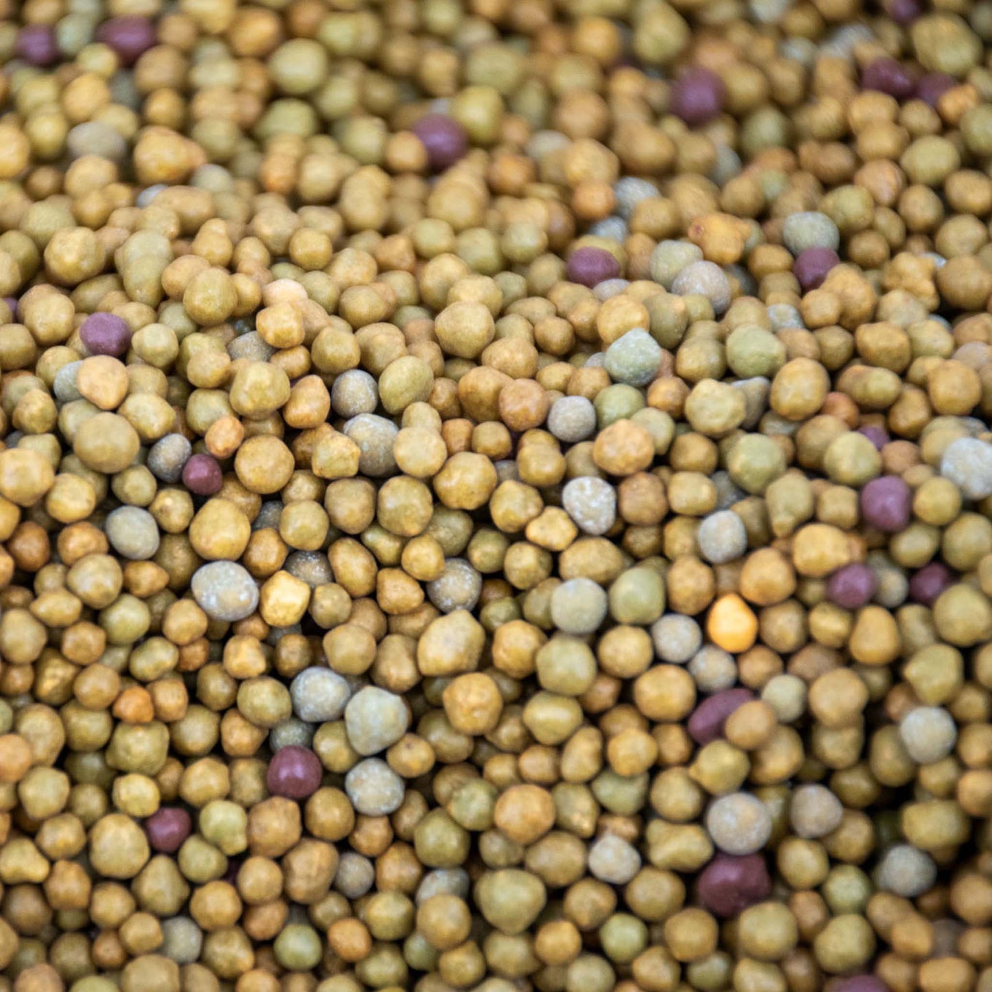 Tropische plantenvoeding langzaam werkend