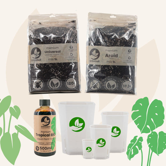 Monstera & Philodendron Welkomstbundel