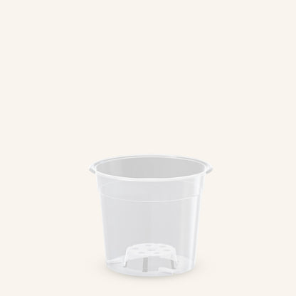 Doorzichtige plantenpot