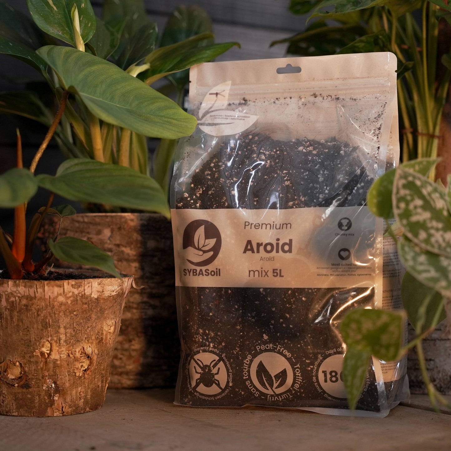 De Blije Tropische Planten Startersbundel