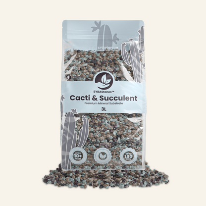 Minerale Cactussen & Vetplanten Mix