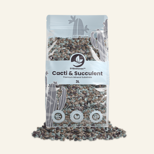 Minerale Cactussen & Vetplanten Mix