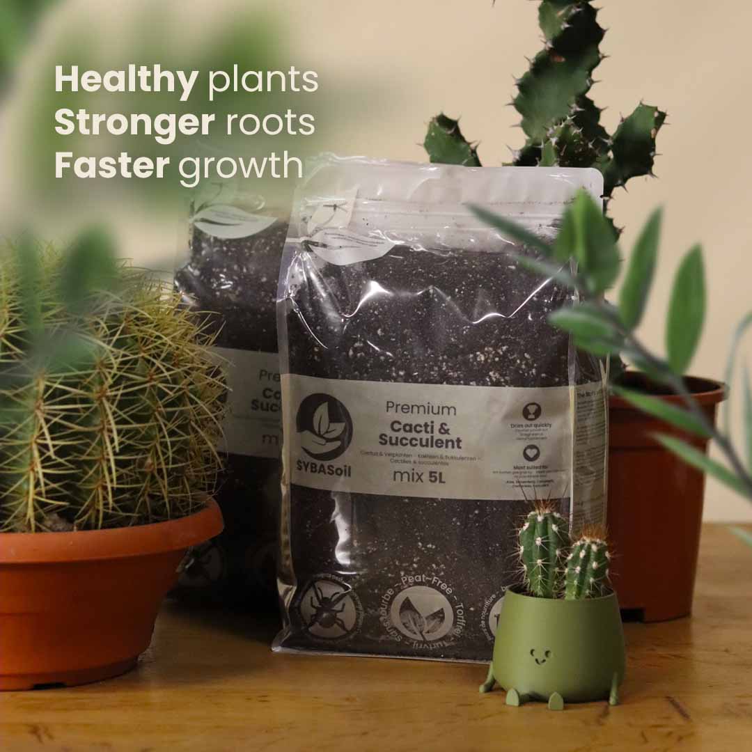Cactus & Vetplant mix
