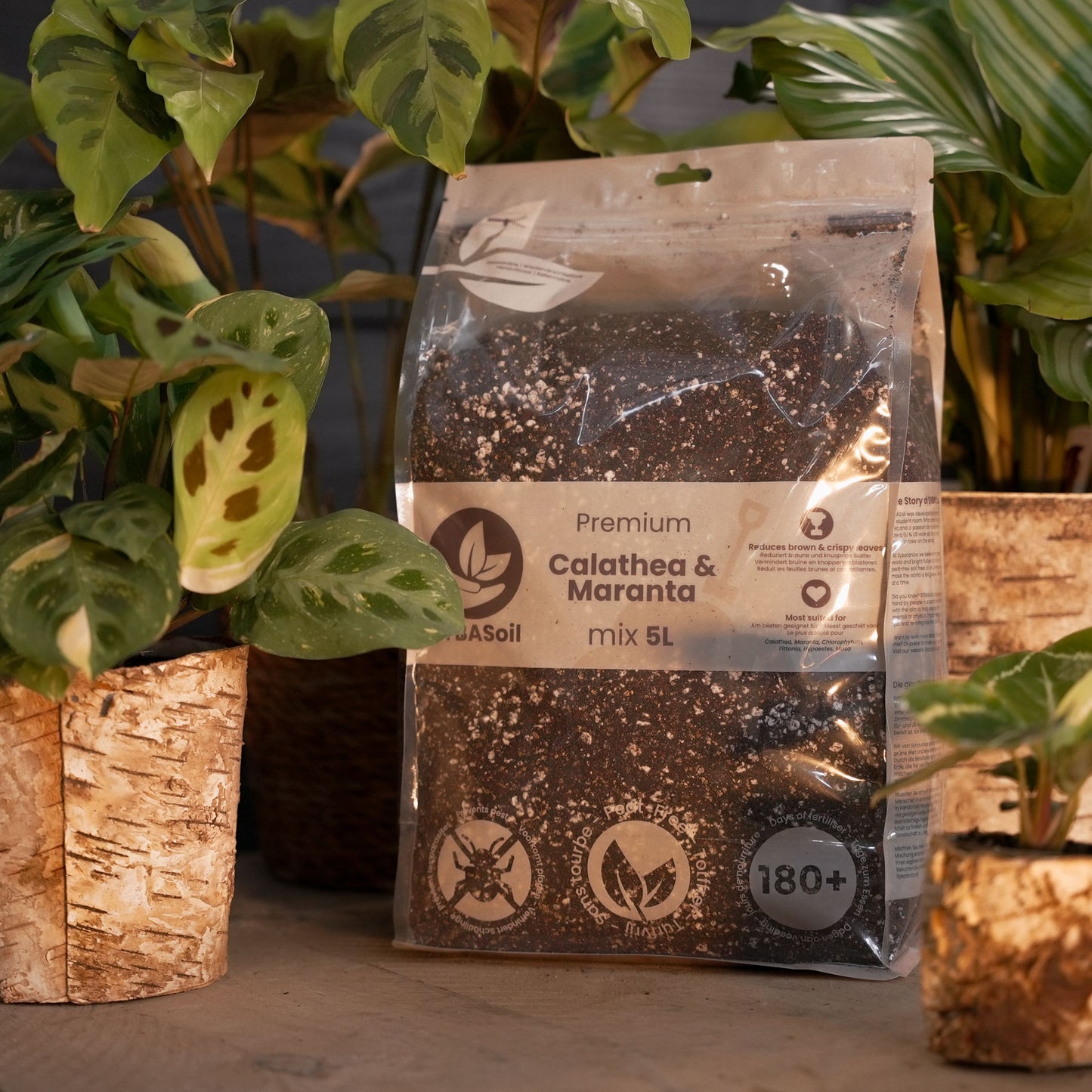 De Blije Tropische Planten Startersbundel