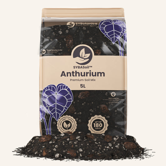 Anthurium mix 5L