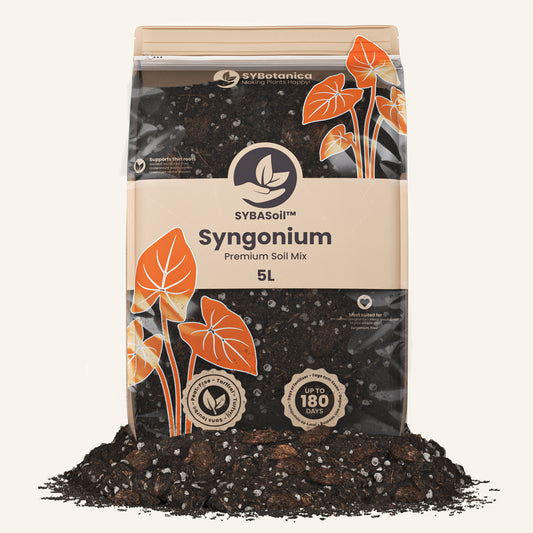 Syngonium mix 5L