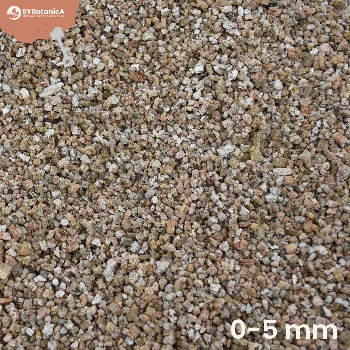 Vermiculiet